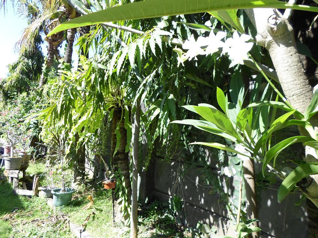 Hotel Bali Aman Darling House Canggu Exterior foto