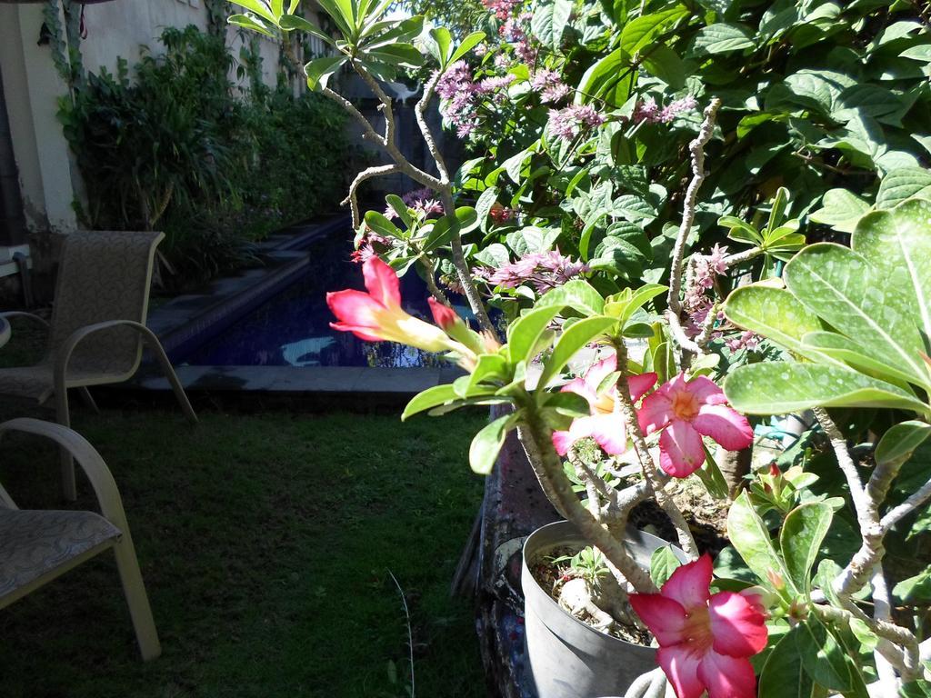Hotel Bali Aman Darling House Canggu Exterior foto