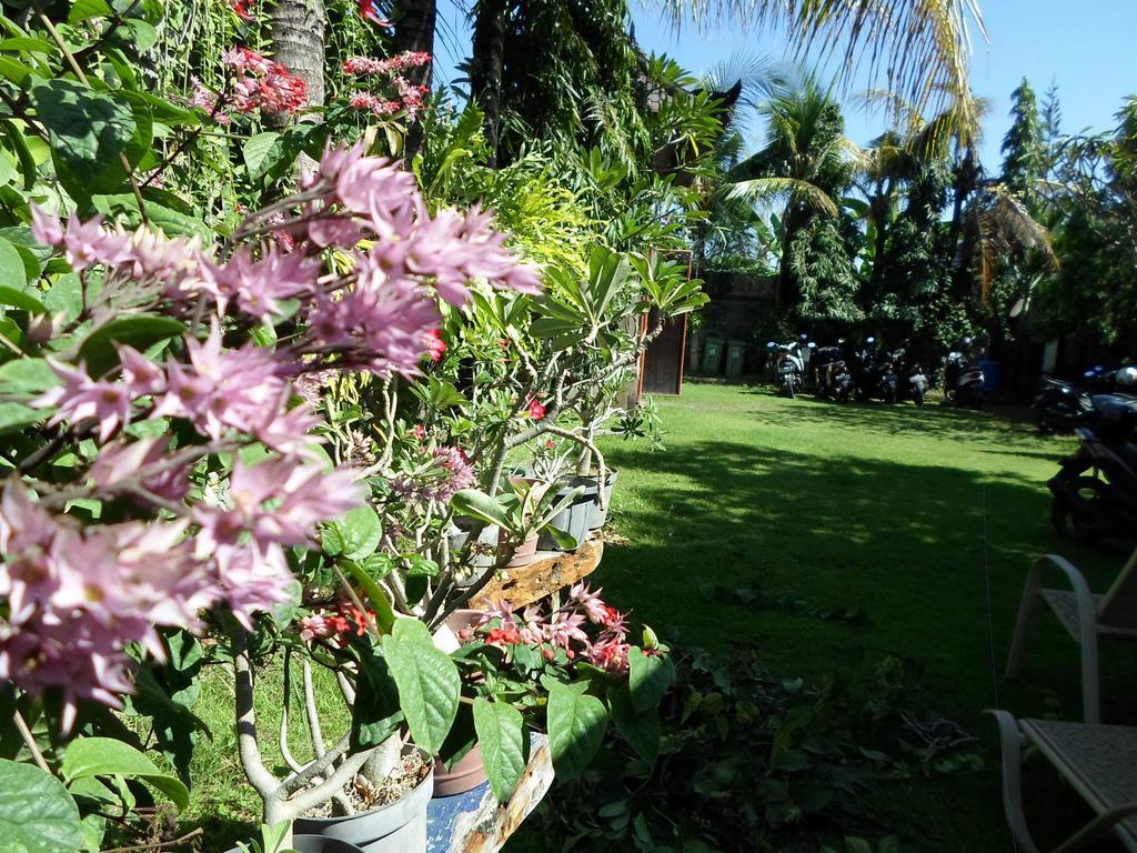 Hotel Bali Aman Darling House Canggu Exterior foto
